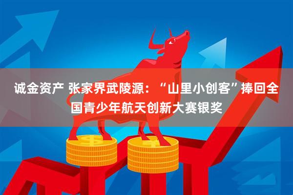 诚金资产 张家界武陵源：“山里小创客”捧回全国青少年航天创新大赛银奖