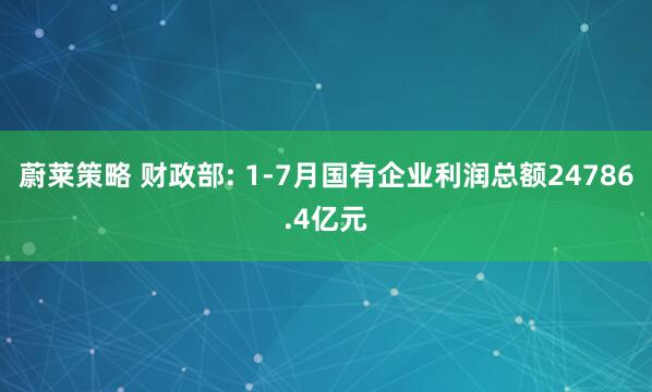 蔚莱策略 财政部: 1-7月国有企业利润总额24786.4亿元