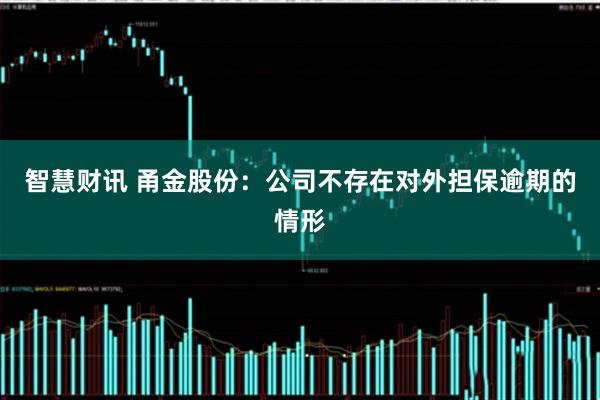智慧财讯 甬金股份：公司不存在对外担保逾期的情形